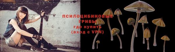 кокаин премиум Волосово